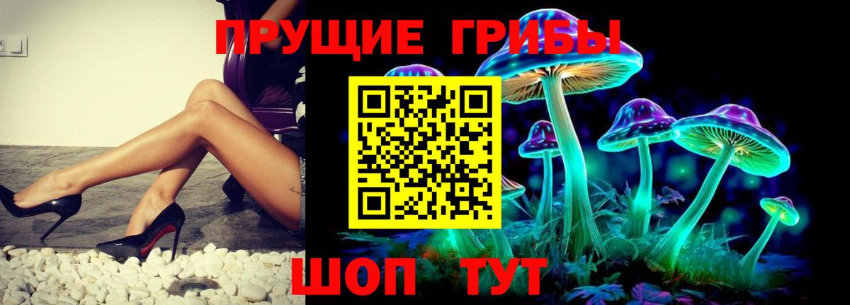 Галлюциногенные грибы GOLDEN TEACHER Донецк